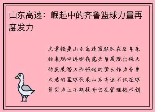 山东高速:崛起中的齐鲁篮球力量再度发力 山东高速:崛起中的齐鲁篮球力量再度发力