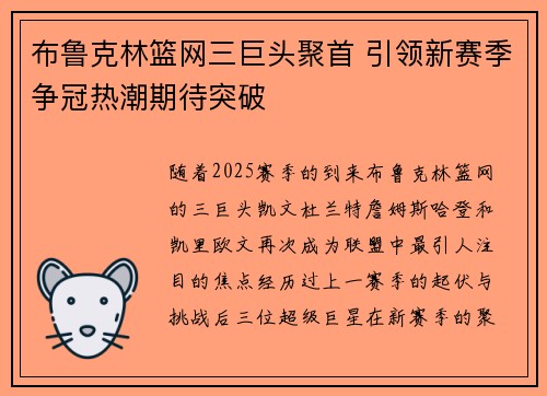 布鲁克林篮网三巨头聚首 引领新赛季争冠热潮期待突破